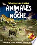 Libro Animales En La Noche