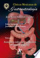 Libro Avances en endoscopia terapéutica del aparato digestivo CMG 2