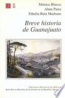 Libro Breve historia de Guanajuato