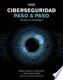Libro Ciberseguridad paso a paso
