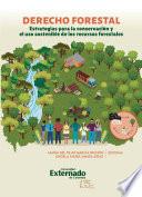 Libro Derecho forestal : estrategias para la conservación y el uso sostenible de los recursos forestales