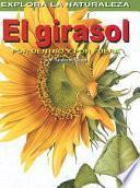 Libro El girasol: Por dentro y por fuera (Sunflower: Inside and Out)