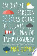 Libro En qué se parecen las gotas de lluvia al pan de hamburguesa