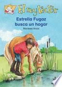 Libro Estrella fugaz busca un hogar