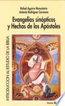 Libro Evangelios sinópticos y Hechos de los Apóstoles