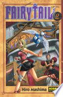 Libro Fairy Tail 2
