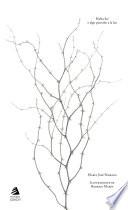 Libro Había luz o algo parecido a la luz