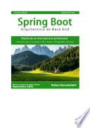 Libro Java Spring Boot Español 2022