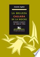 Libro La belleza callada de la noche