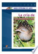 Libro La cría de codornices