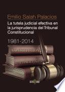 Libro La tutela judicial efectiva en la jurisprudencia del Tribunal Constitucional. 1981-2014