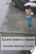 Libro Llueve desde el sábado