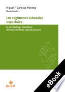 Libro Los regímenes laborales especiales