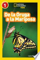 Libro National Geographic Readers: De la Oruga a la Mariposa (Caterpillar to Butterfly)