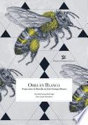 Libro Obra en Blanco