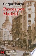 Libro Paseos por Madrid