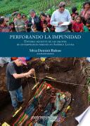 Libro Perforando la impunidad