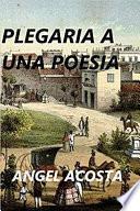 Libro Plegaria a una poesía