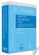 Libro Práctica del proceso civil