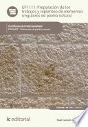 Libro Preparación de los trabajos y replanteo de elementos singulares de piedra natural. IEXD0409