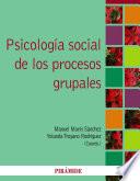 Libro Psicología social de los procesos grupales