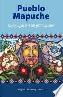Libro Pueblo Mapuche