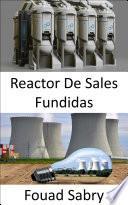 Libro Reactor De Sales Fundidas