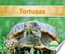 Libro Tortugas (Turtles) (Spanish Version)