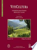 Libro Viticultura